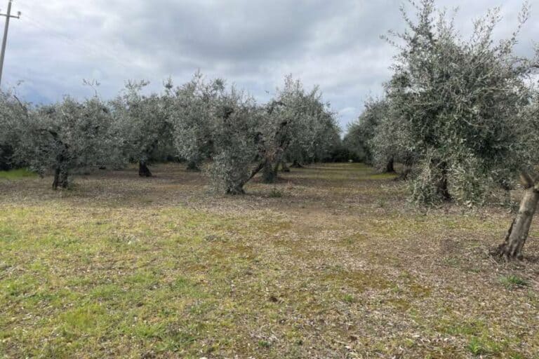 Punto Casa Web immagini delle proprietà