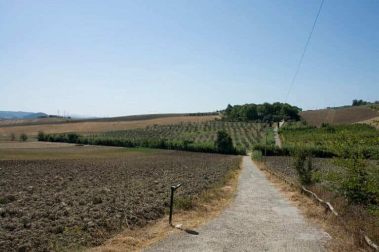 Punto Casa Web immagini delle proprietà