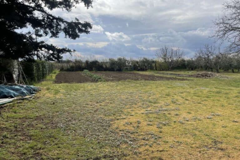 Punto Casa Web immagini delle proprietà