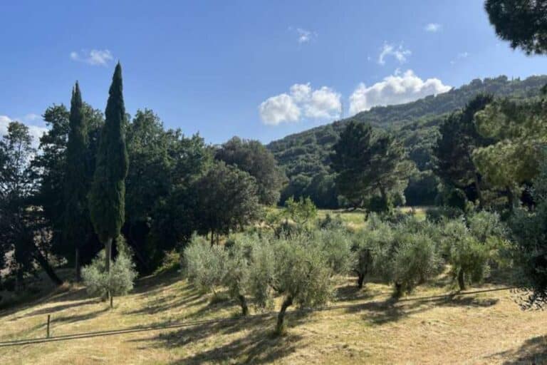 Punto Casa Web immagini delle proprietà