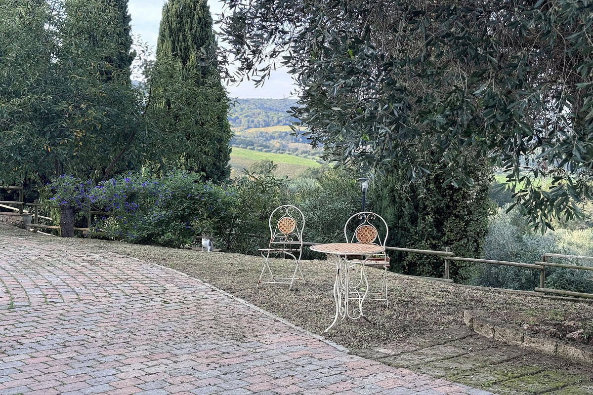 IMG_6654