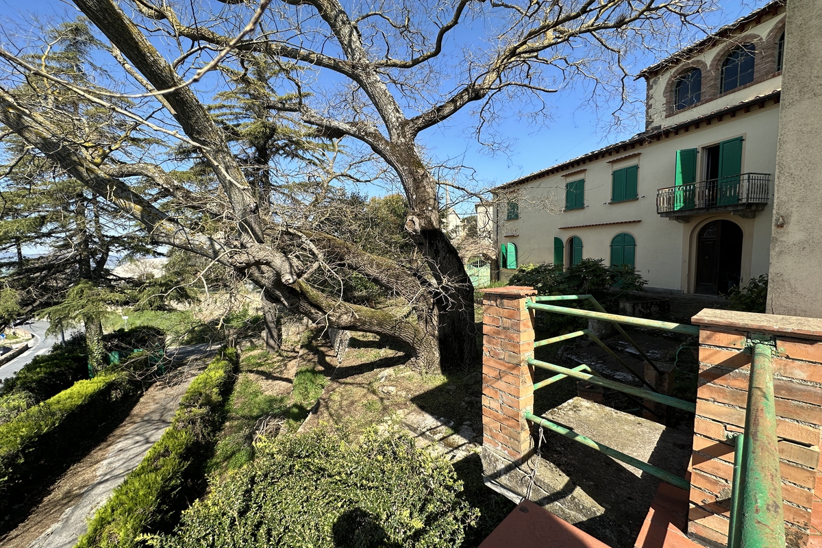 IMG_9529