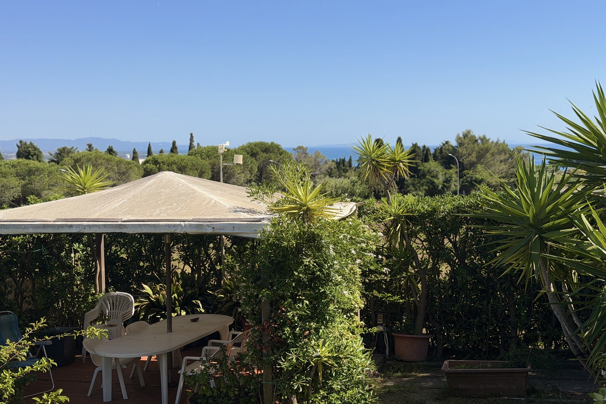 IMG_1551